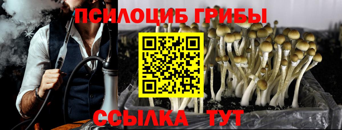 Псилоцибиновые грибы прущие грибы Волжский